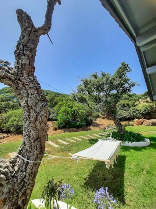 Casa Micheal - Luxury Villa - El Cuarton, タリファ エクステリア 写真